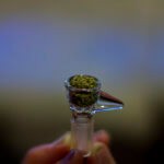 Marijuana in Paraphernalia